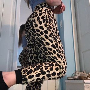 zara cheetah print pants